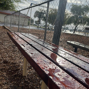 Meet your Posher, Ricky